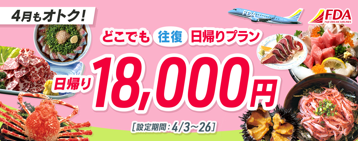 どこでも往復 日帰りプラン 往復18,000円