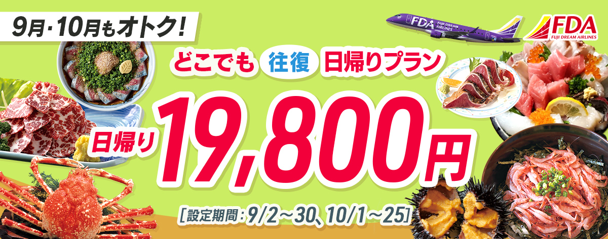 どこでも往復 日帰りプラン 往復19,800円