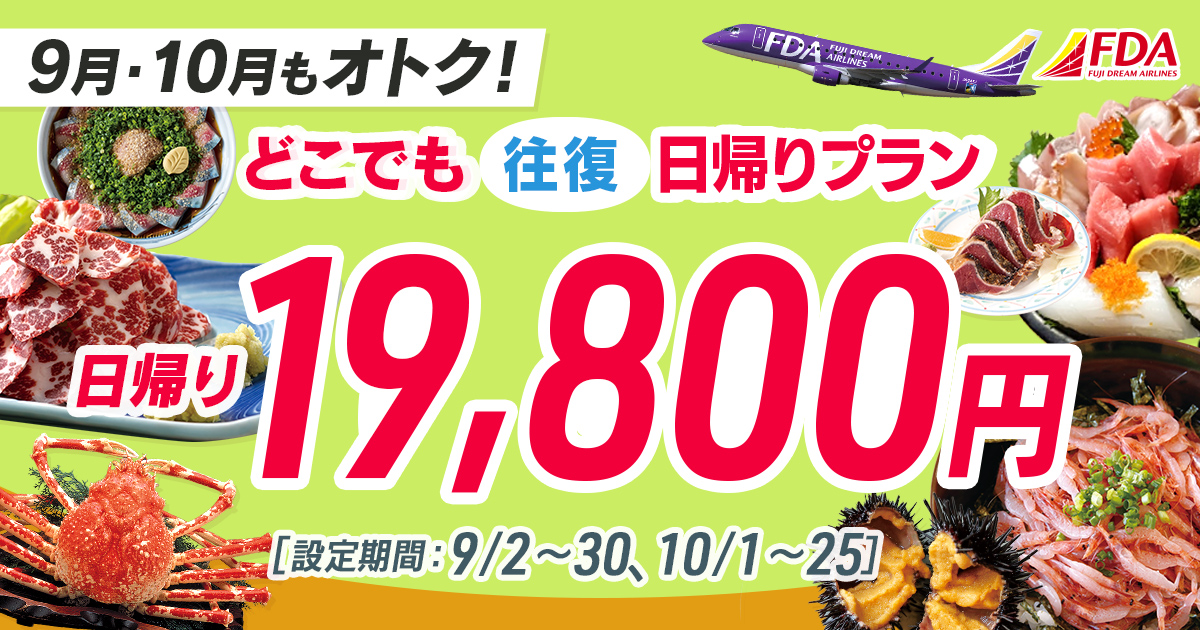 どこでも往復 日帰りプラン 往復19,800円