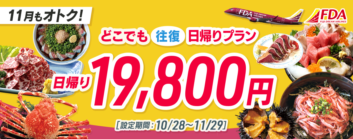 どこでも往復 日帰りプラン 往復19,800円