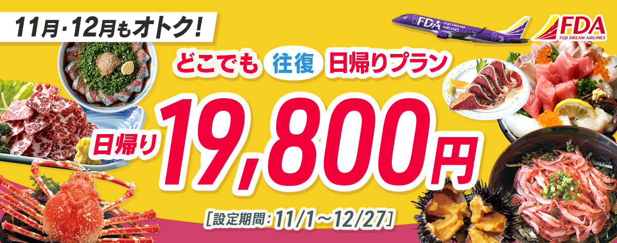 どこでも往復 日帰りプラン 往復19,800円