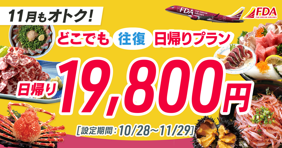 どこでも往復 日帰りプラン 往復19,800円