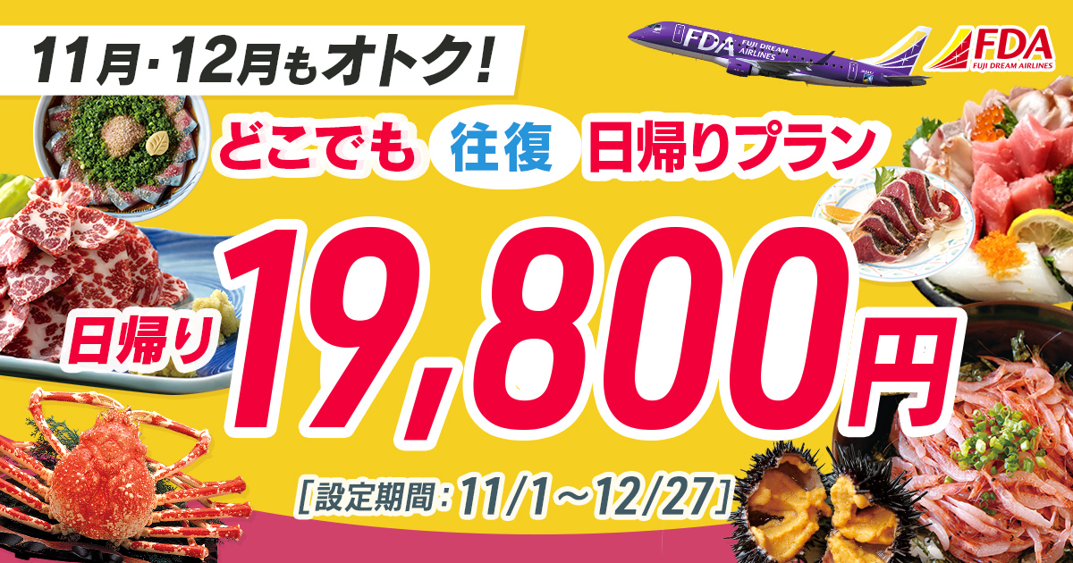 どこでも往復 日帰りプラン 往復19,800円