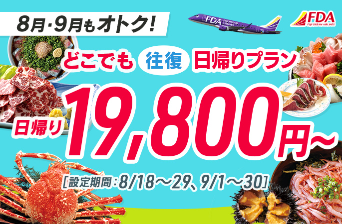 『どこでも往復日帰りプラン19,800円~』