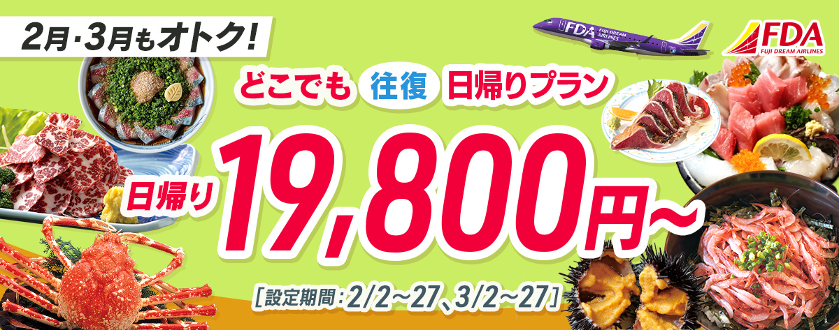 どこでも往復 日帰りプラン 往復19,800円~