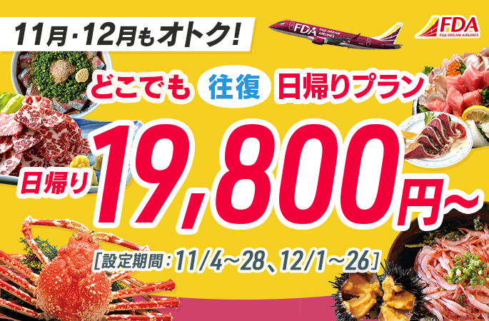 『どこでも往復日帰りプラン19,800円~』