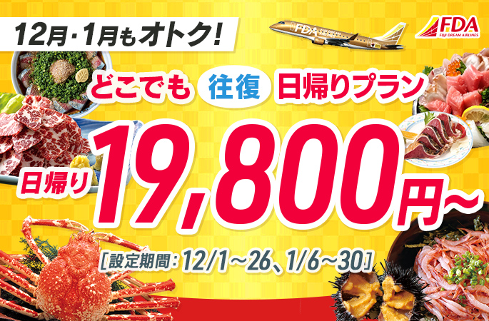 『どこでも往復日帰りプラン19,800円~』