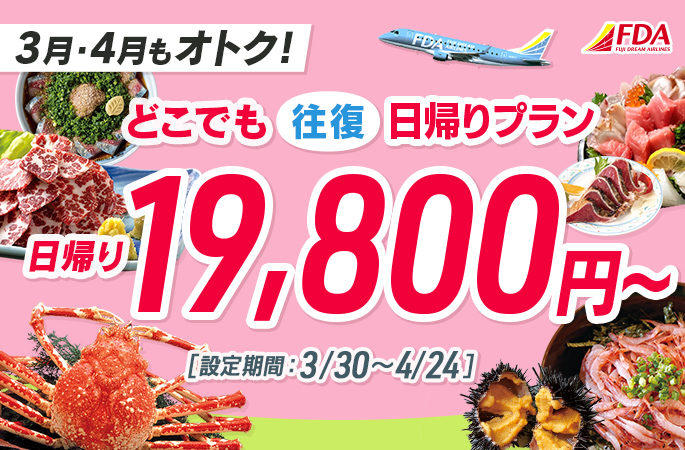 『どこでも往復日帰りプラン19,800円~』