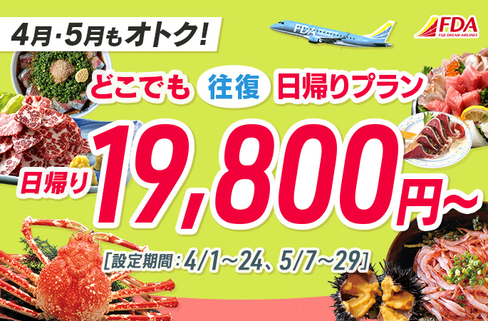 『どこでも往復日帰りプラン19,800円~』