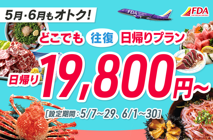 『どこでも往復日帰りプラン19,800円~』