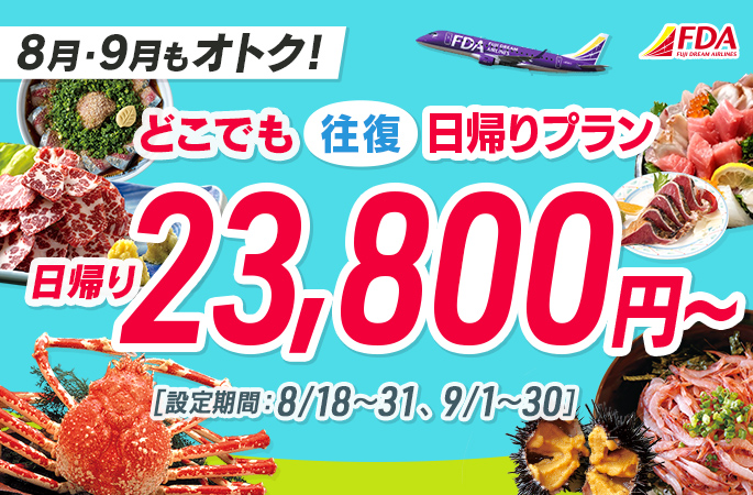 『どこでも往復日帰りプラン23,800円~』
